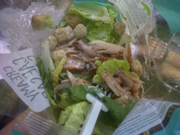 salad in a bag